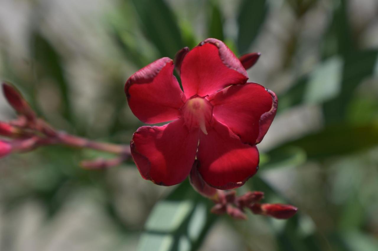 Palmengarten Finning ภายนอก รูปภาพ